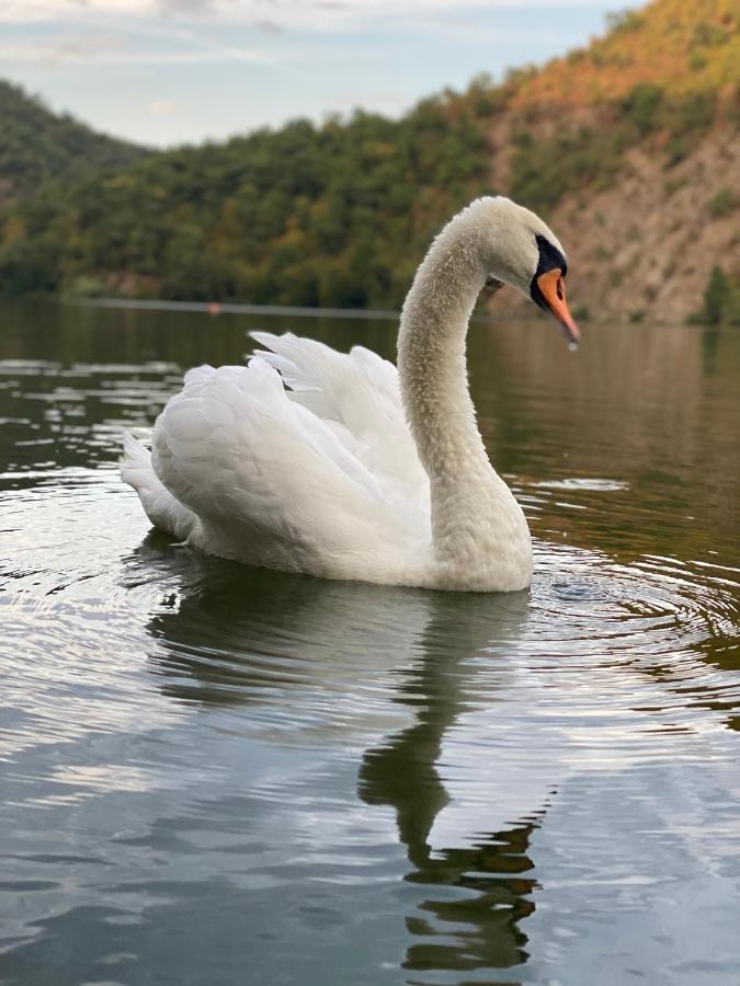 Cabana Ana Otel Ilovita Dış mekan fotoğraf